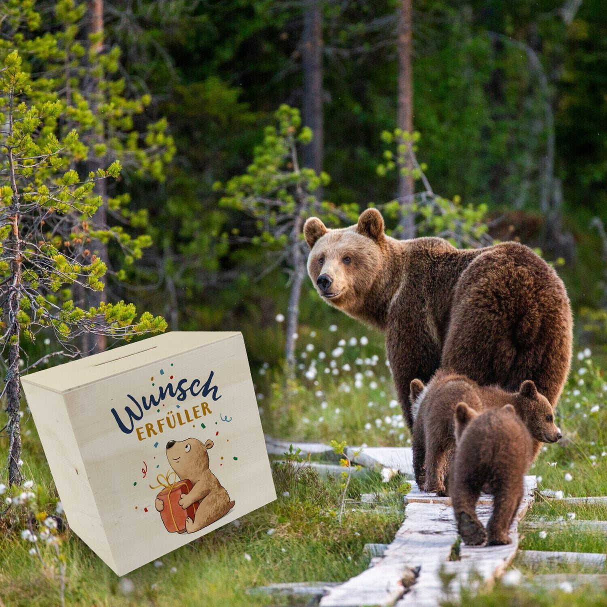 Bär mit Geschenk Spardose mit Spruch Wunscherfüller