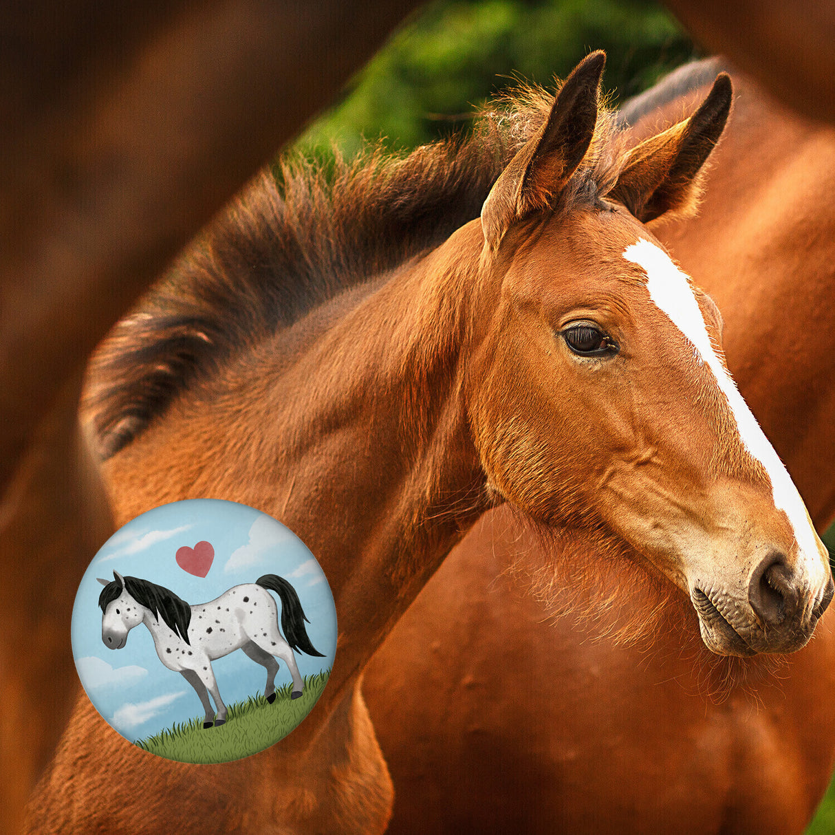 Pony Magnet rund