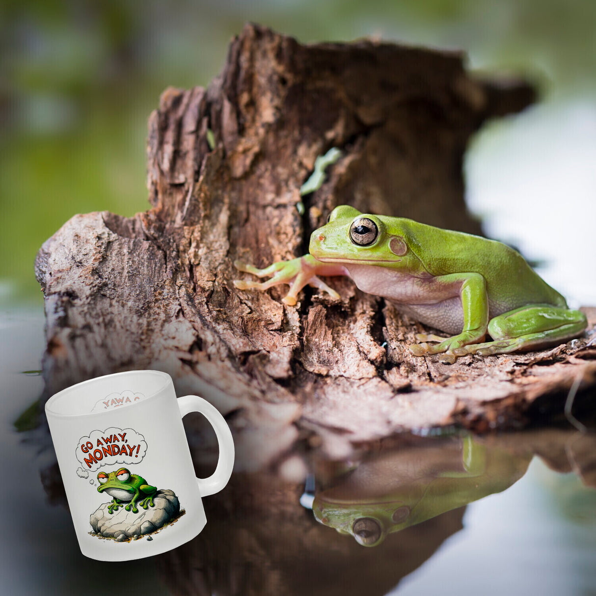 Mürrischer Frosch auf Stein Kaffeebecher mit Spruch Go away, Monday!