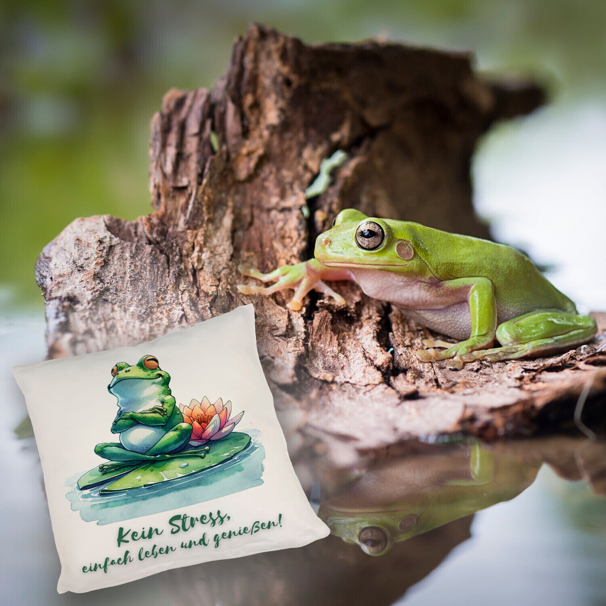 Frosch auf Seerose Kissen mit Spruch Kein Stress einfach leben und genießen