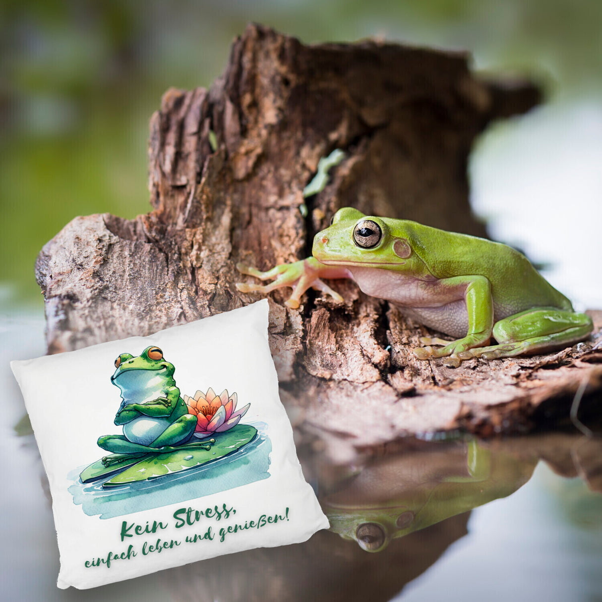Frosch auf Seerose Kissen mit Spruch Kein Stress einfach leben und genießen