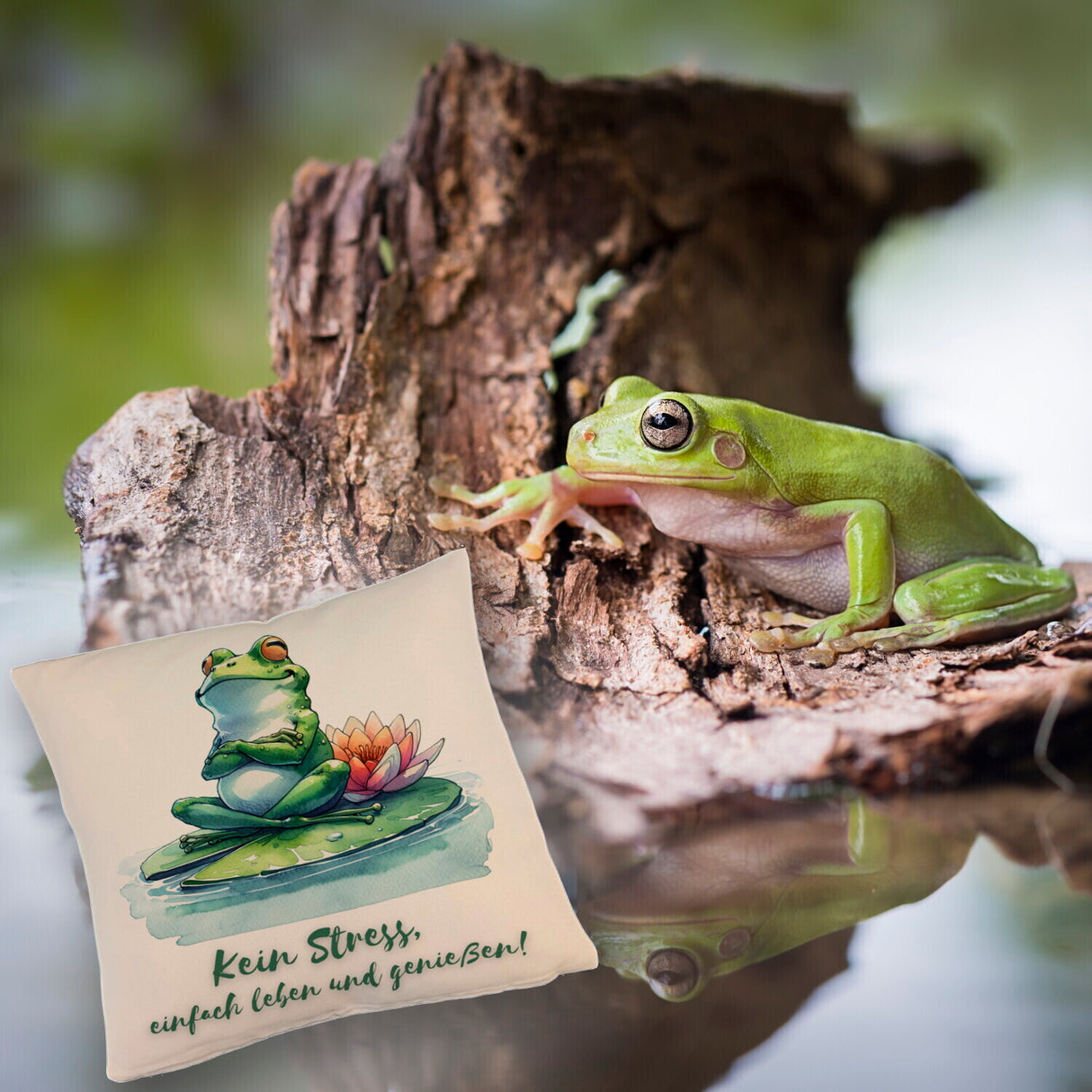 Frosch auf Seerose Kissen mit Spruch Kein Stress einfach leben und genießen