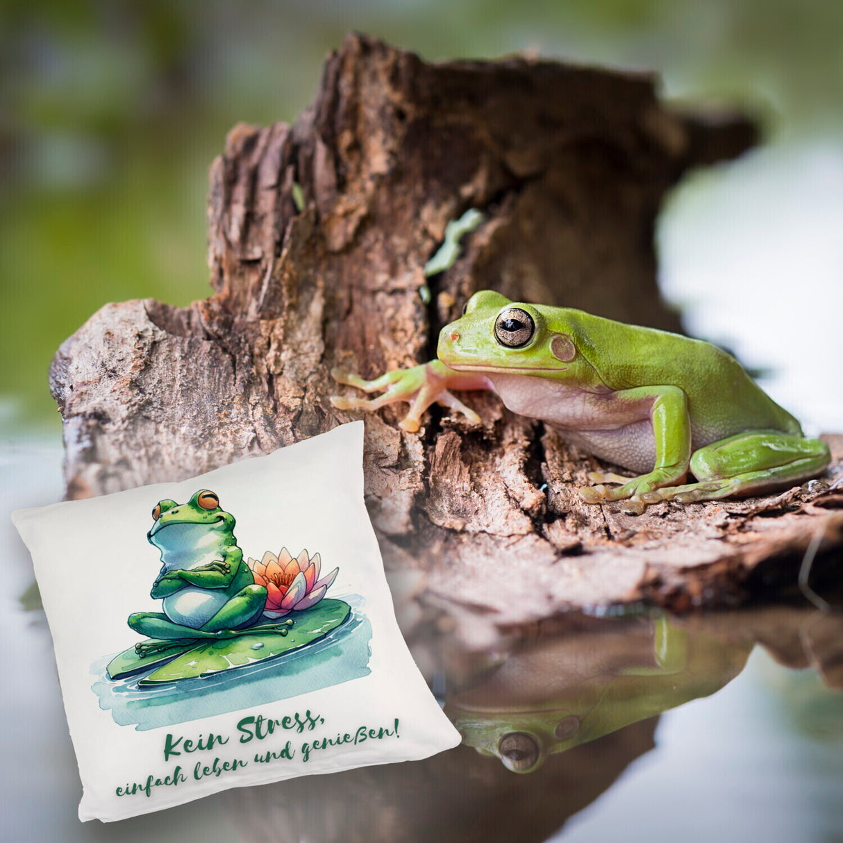 Frosch auf Seerose Kissen mit Spruch Kein Stress einfach leben und genießen