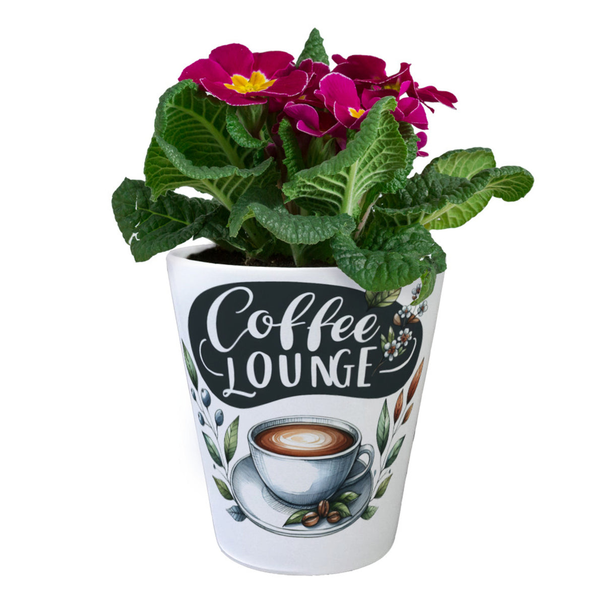 Coffee Lounge Blumentopf