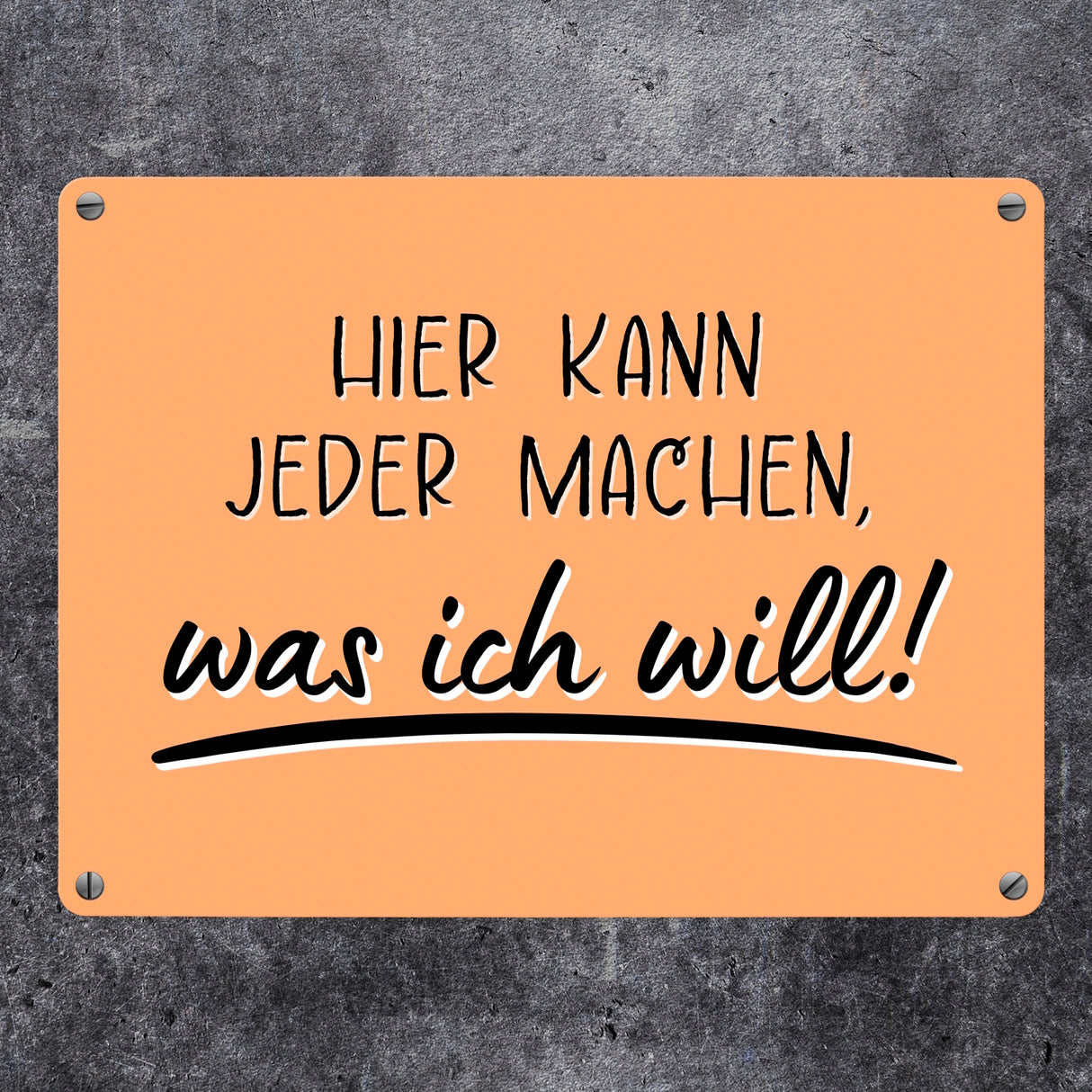 Meine Regeln Metallschild in 15x20 cm mit Spruch Hier kann jeder machen, was ich will