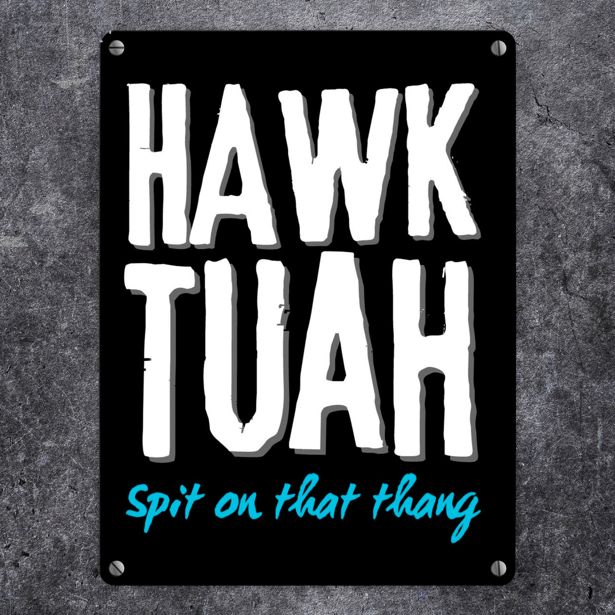 Hawk Tuah Metallschild in 15x20 cm mit Spruch Spit on that thang