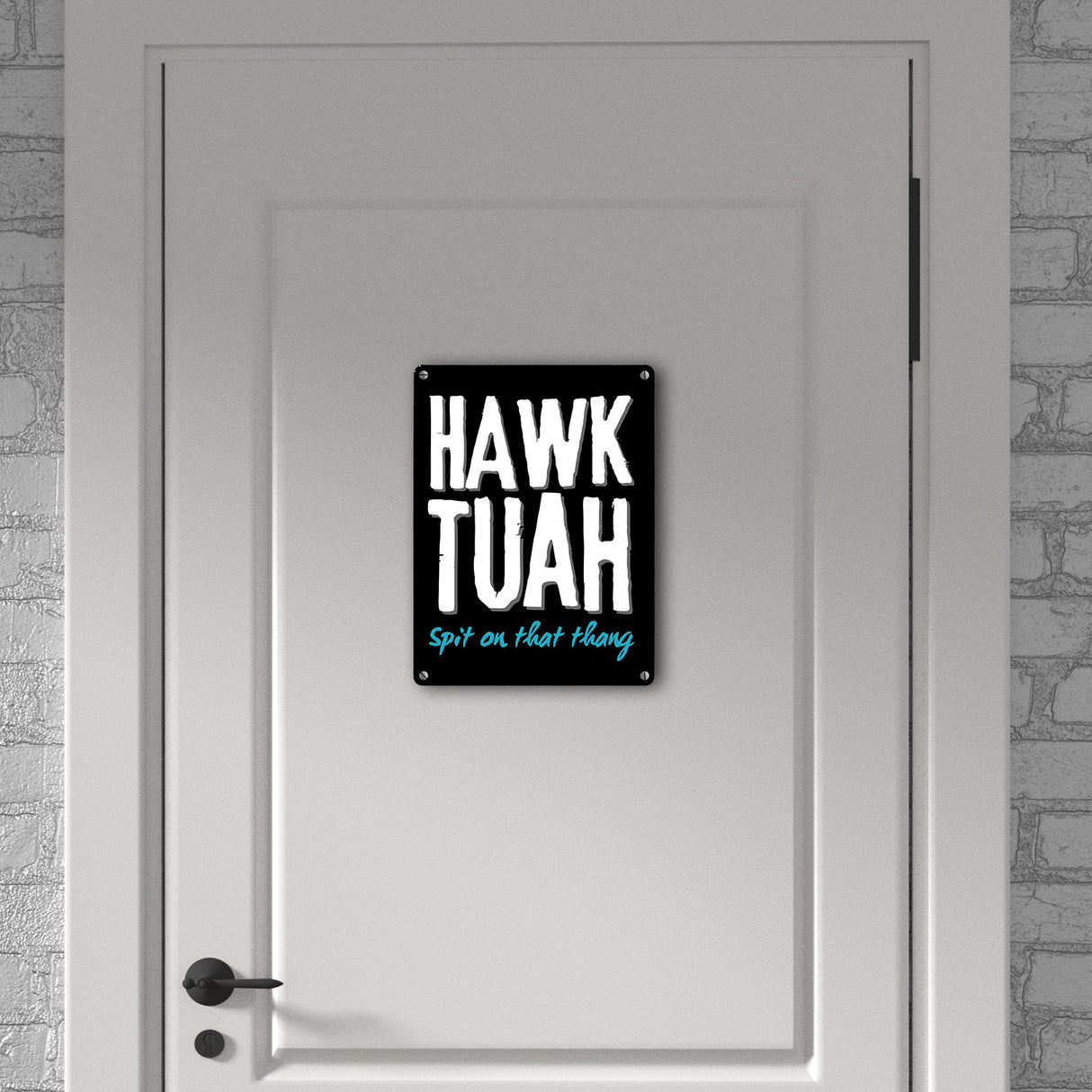 Hawk Tuah Metallschild in 15x20 cm mit Spruch Spit on that thang