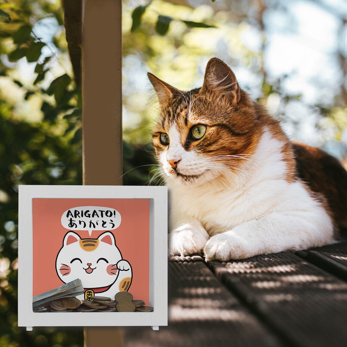 Winkekatze Spardose mit Spruch Arigato