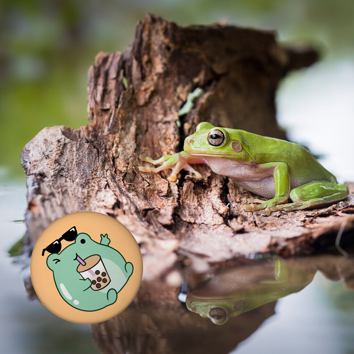 Jelly & Friends Frosch mit Bubbletea Magnet rund