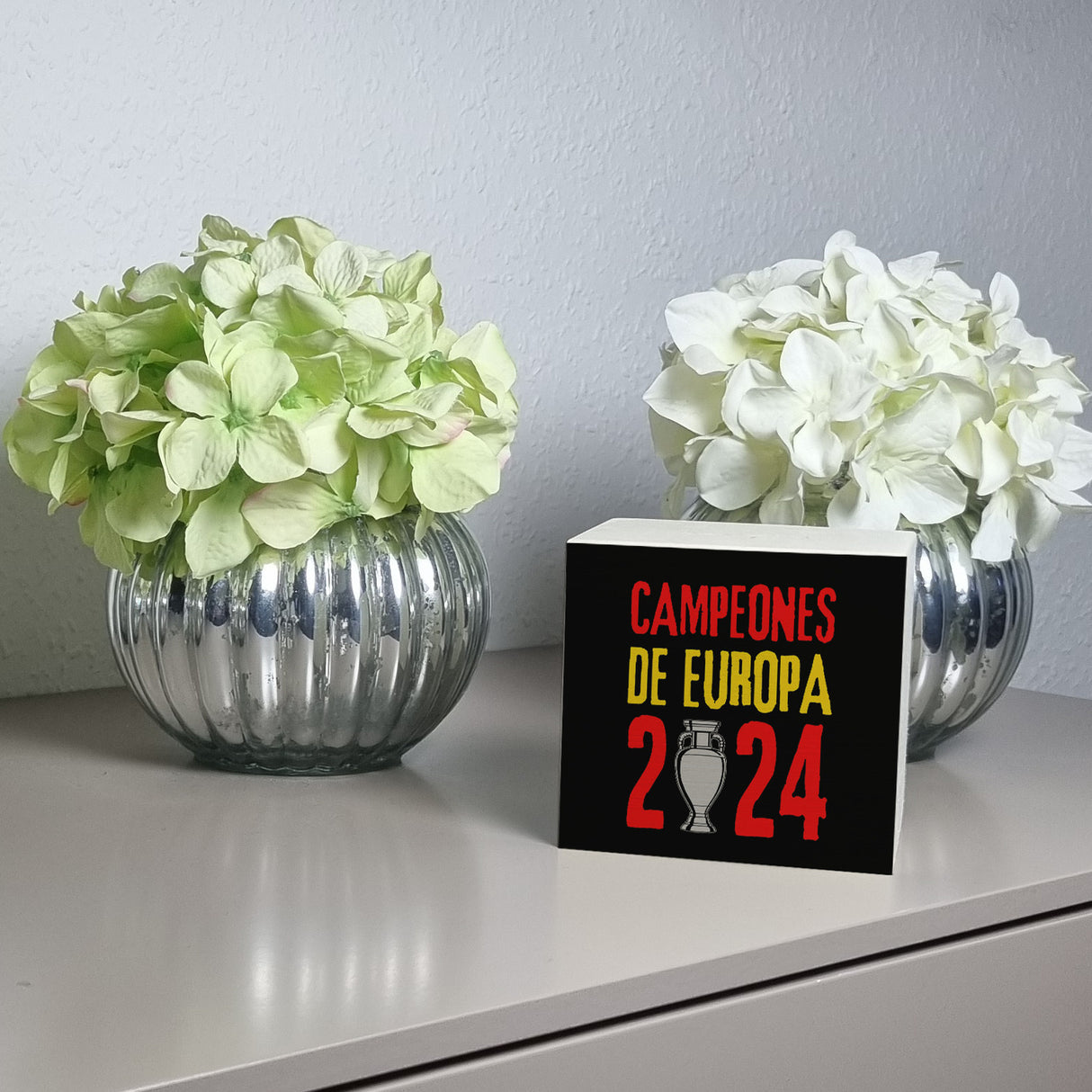 Spanien Europameister 2024 Spardose mit Spruch Campeones de Europa 2024