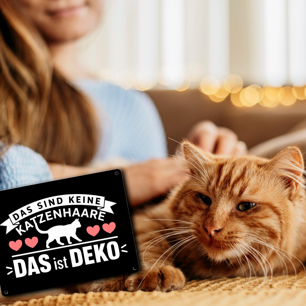 Keine Katzenhaare nur Deko Katzen Metallschild in 15x20 cm