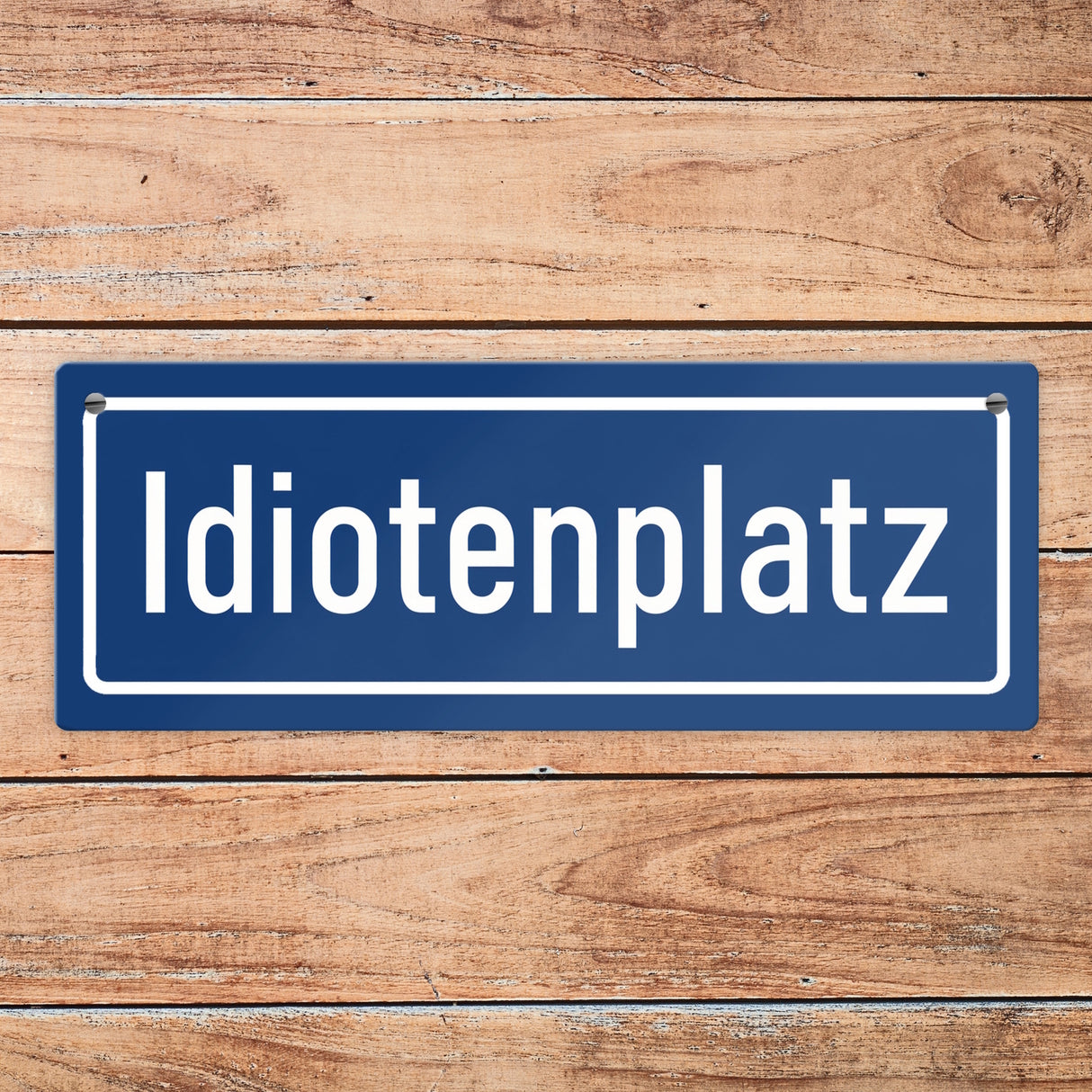 Idiotenplatz Dekoration Metallschild