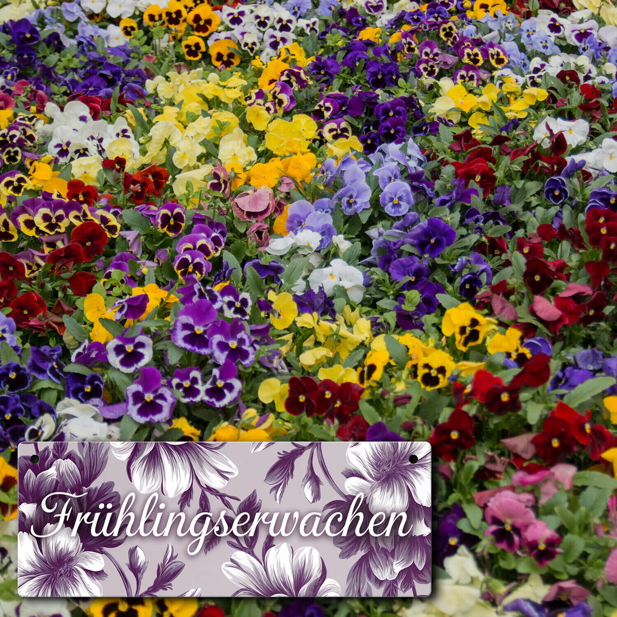 Florales Metallschild mit Blumenmotiv Frühlingserwachen