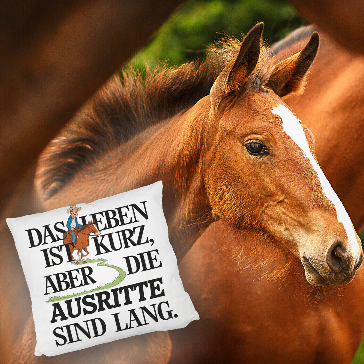 Reiter Spruch Kissen Ausritte sind lang