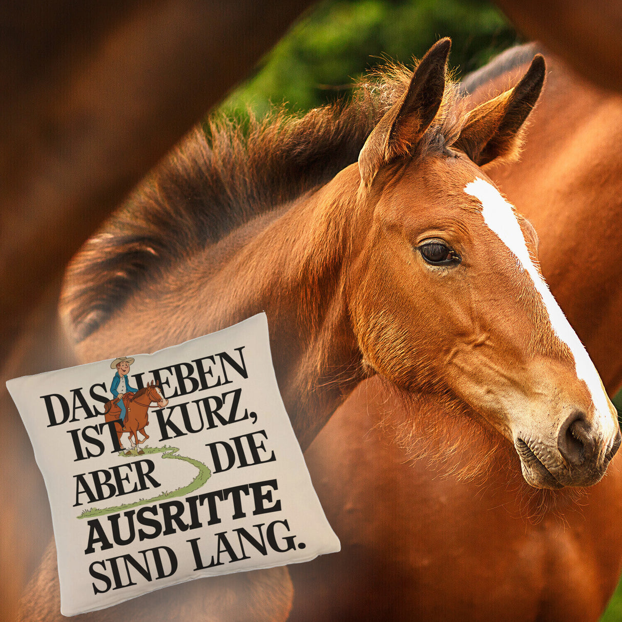 Reiter Spruch Kissen Ausritte sind lang
