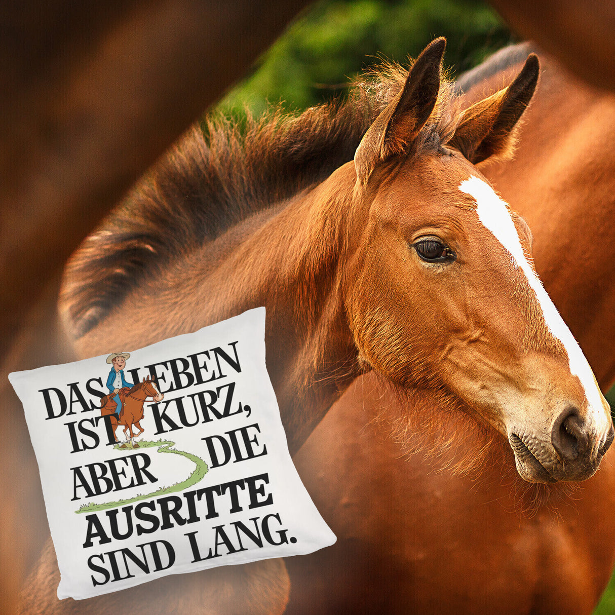 Reiter Spruch Kissen Ausritte sind lang