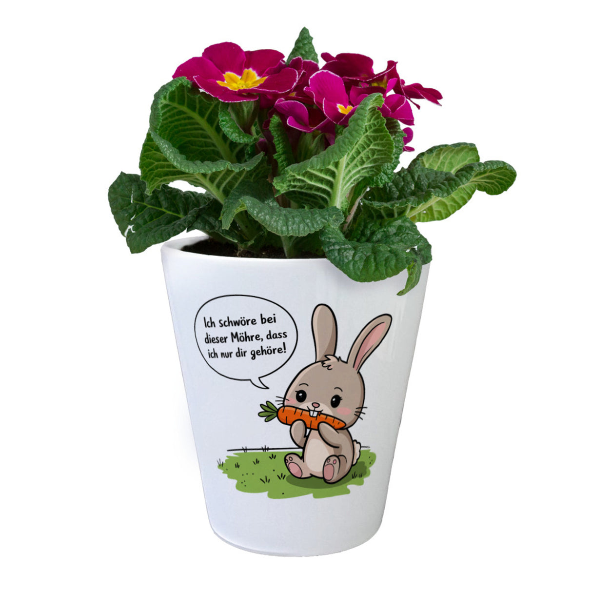 Ich gehöre dir Blumentopf mit niedlichem Hasen