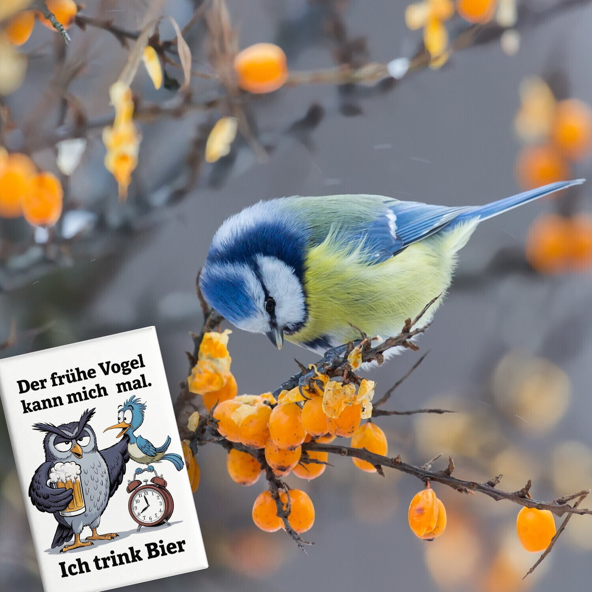 Der frühe Vogel kann mich mal Souvenir Souvenir Magnet - Ich trink Bier