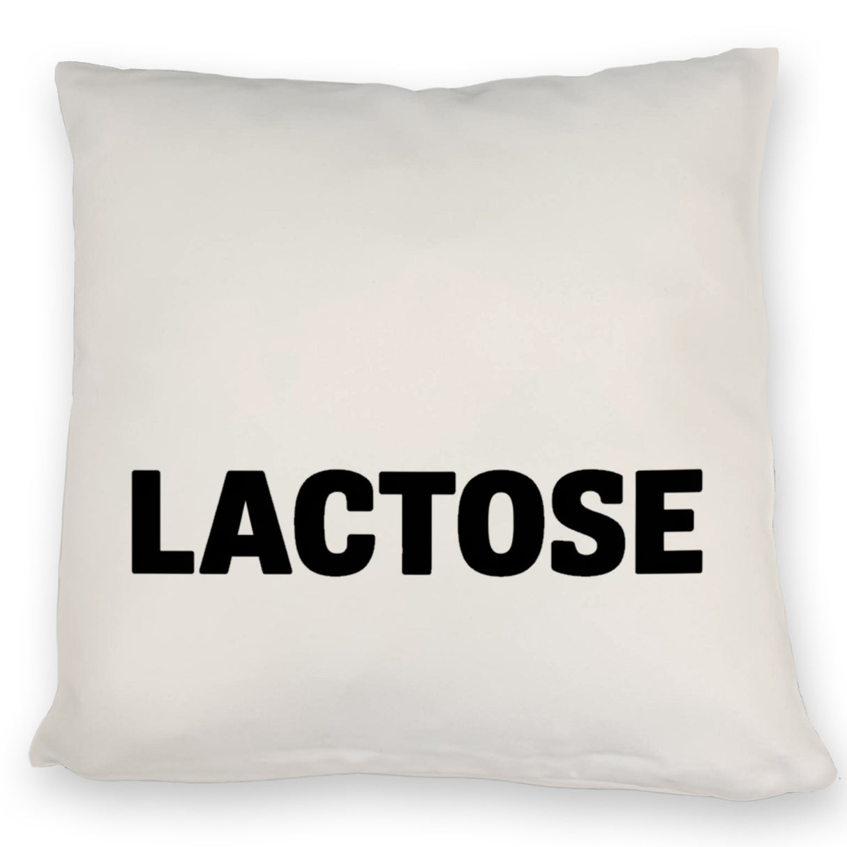 Alligator LACTOSE Kissen für Humorliebhaber