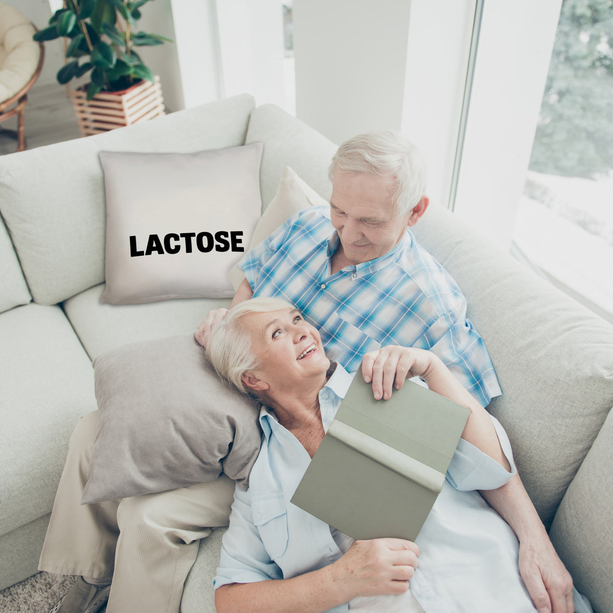 Alligator LACTOSE Kissen für Humorliebhaber