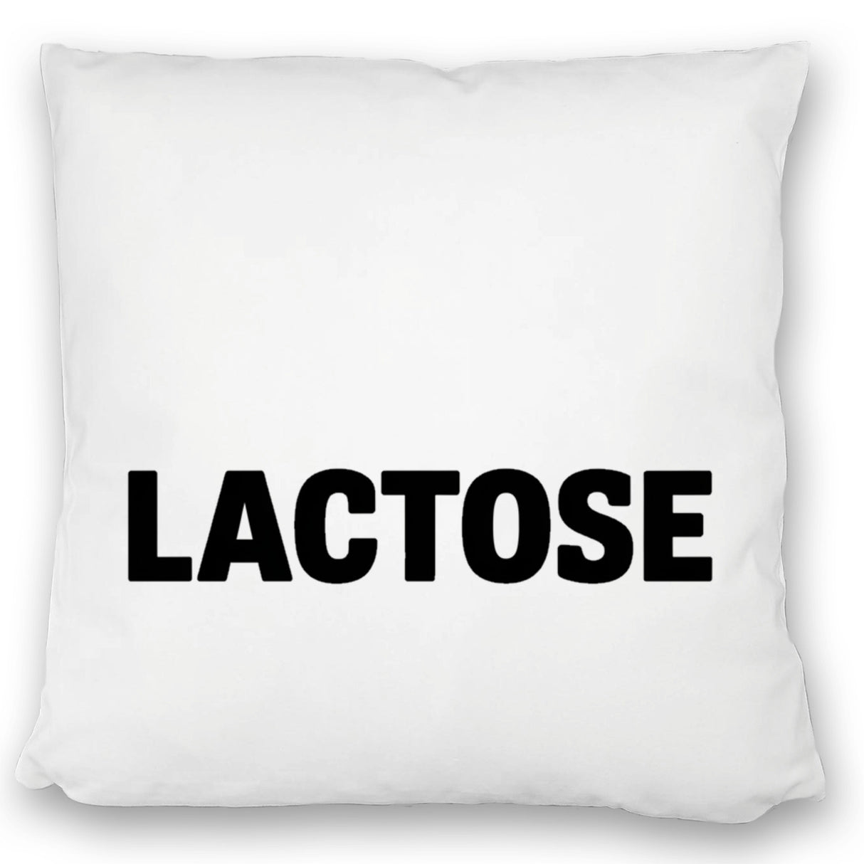 Alligator LACTOSE Kissen für Humorliebhaber