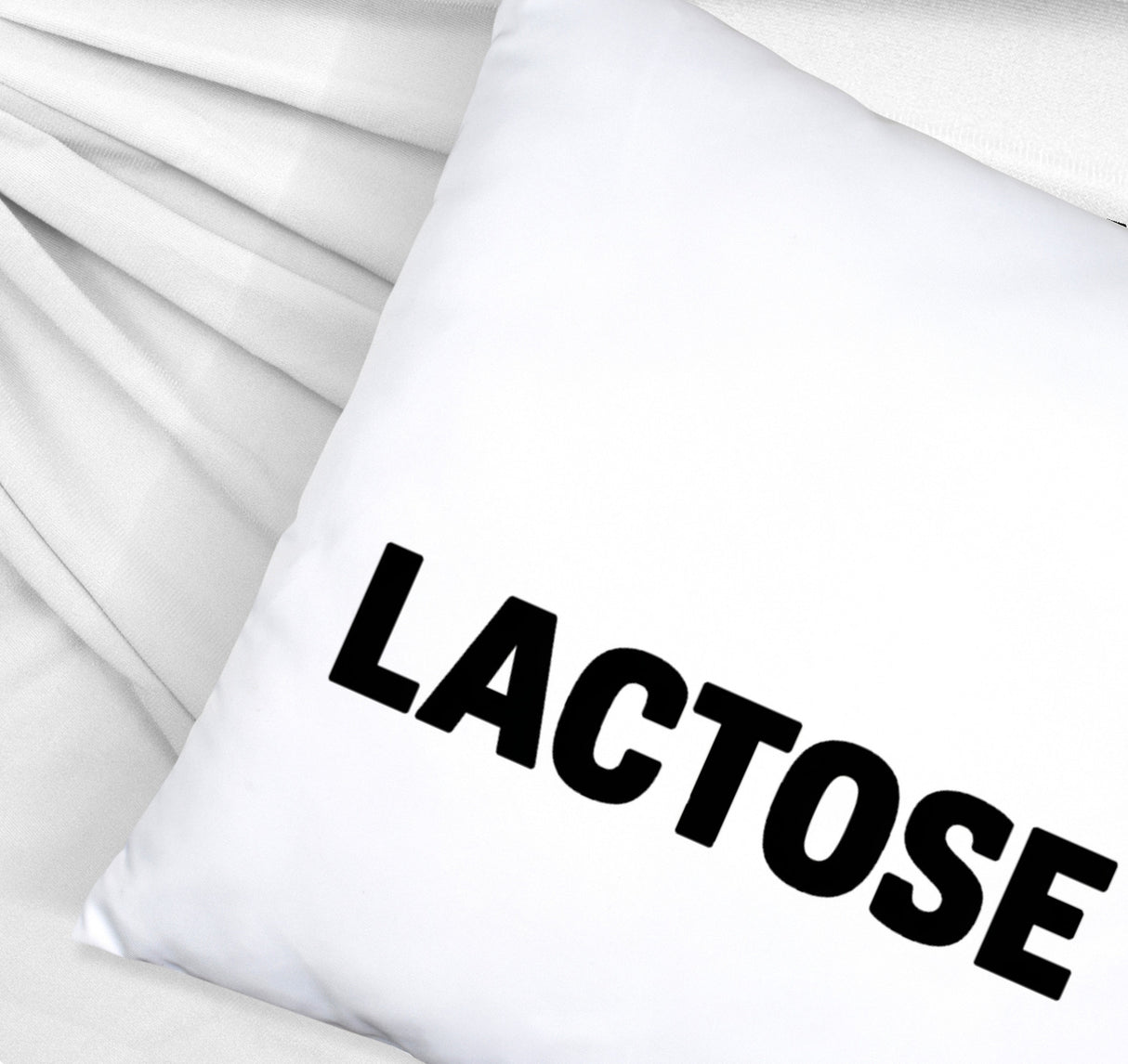 Alligator LACTOSE Kissen für Humorliebhaber