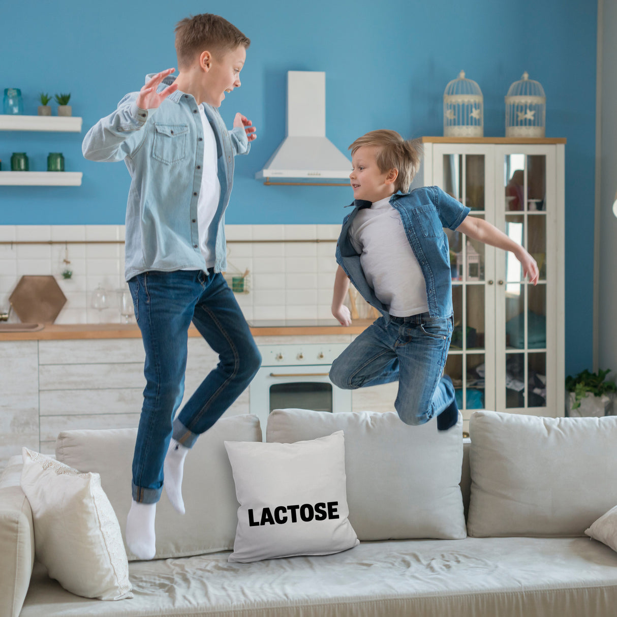 Alligator LACTOSE Kissen für Humorliebhaber