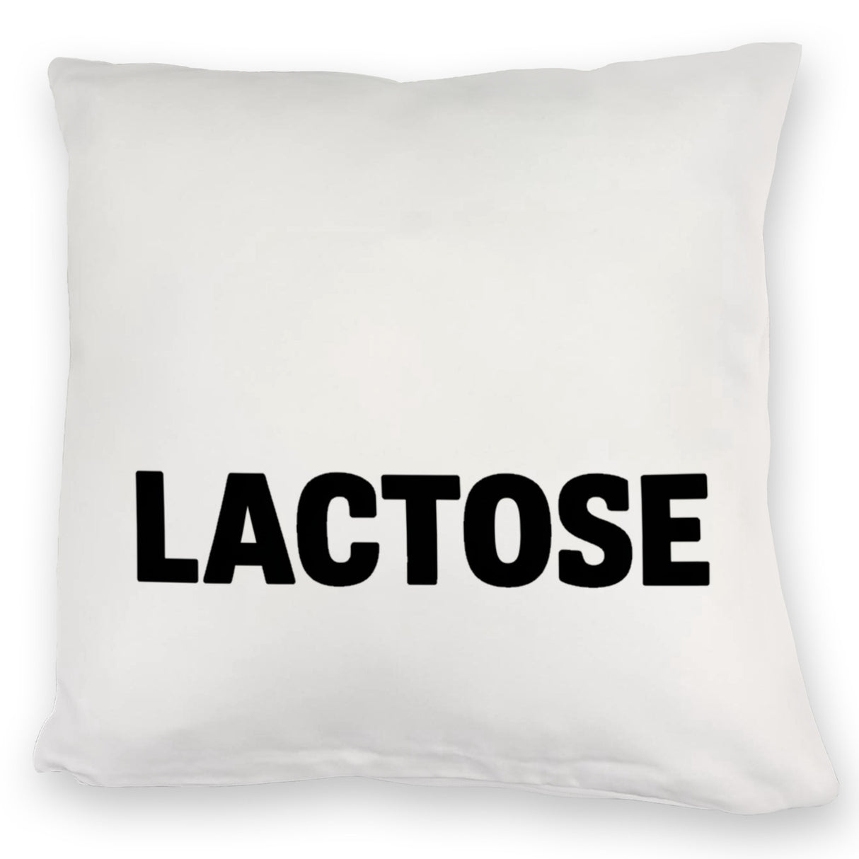 Alligator LACTOSE Kissen für Humorliebhaber
