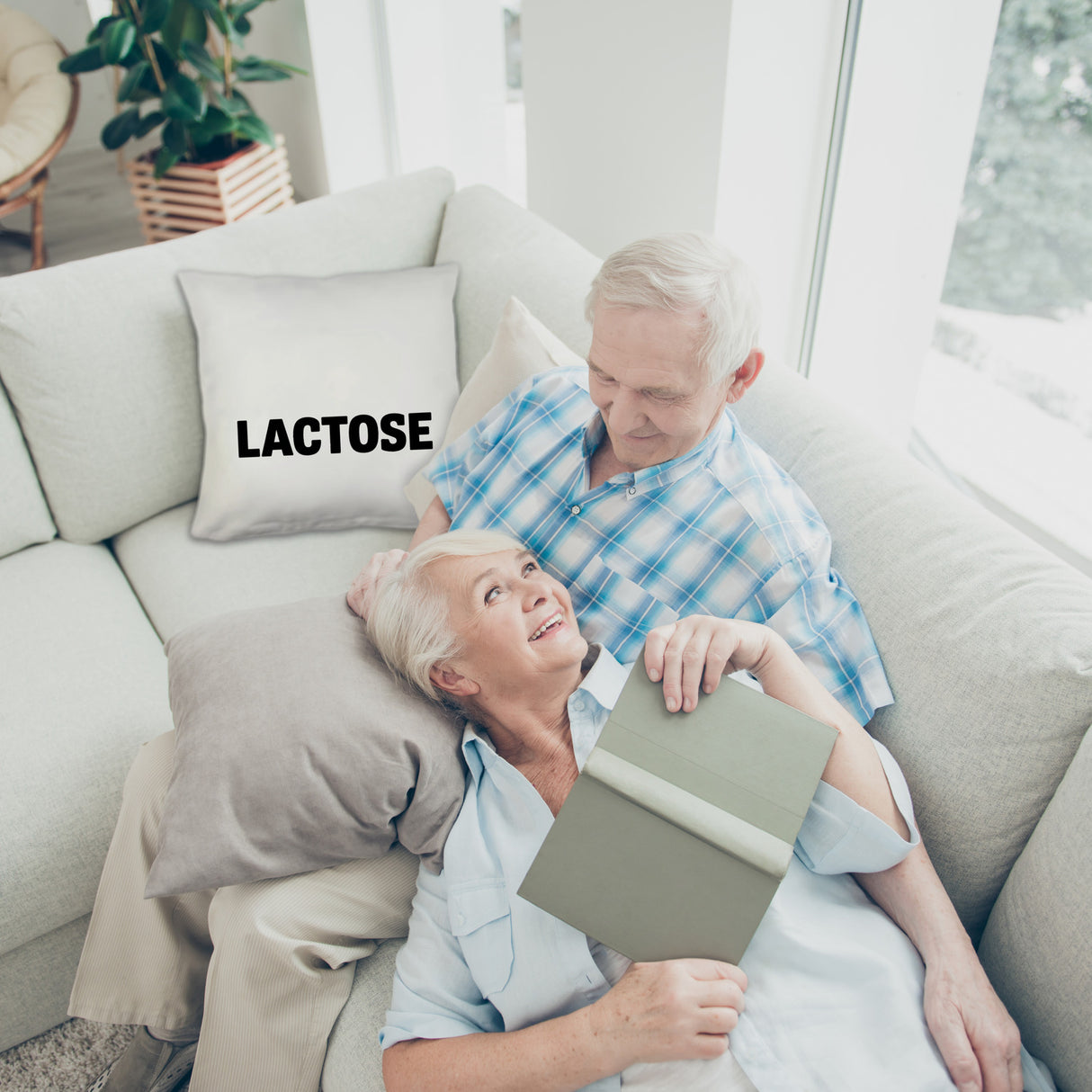 Alligator LACTOSE Kissen für Humorliebhaber