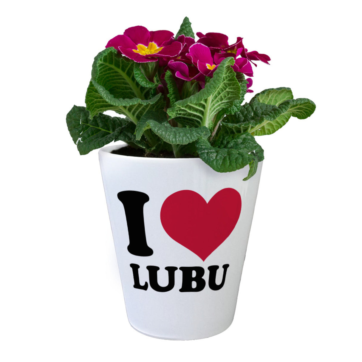 Ludwigsburg Blumentopf - I Love LUBU