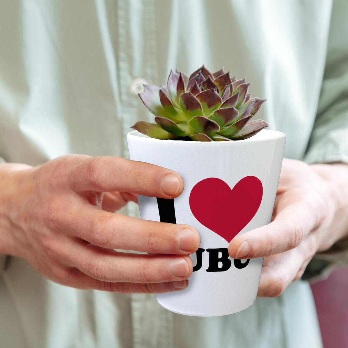 Ludwigsburg Blumentopf - I Love LUBU