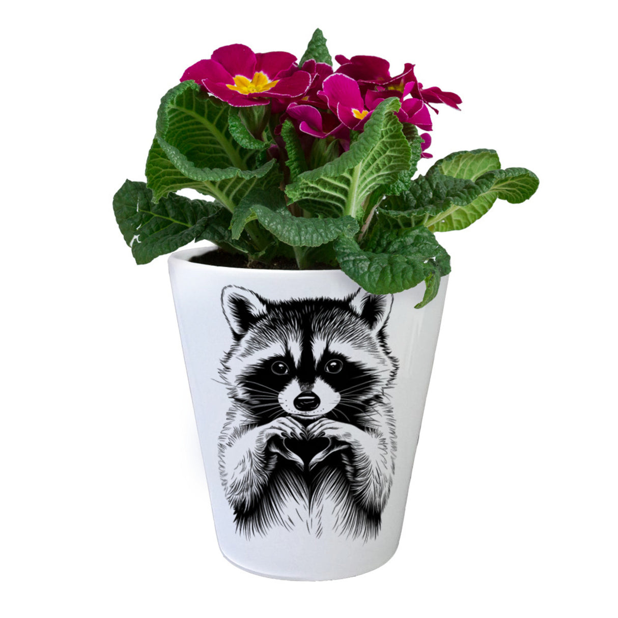 Waschbär zeigt Herz Blumentopf für Tierliebhaber