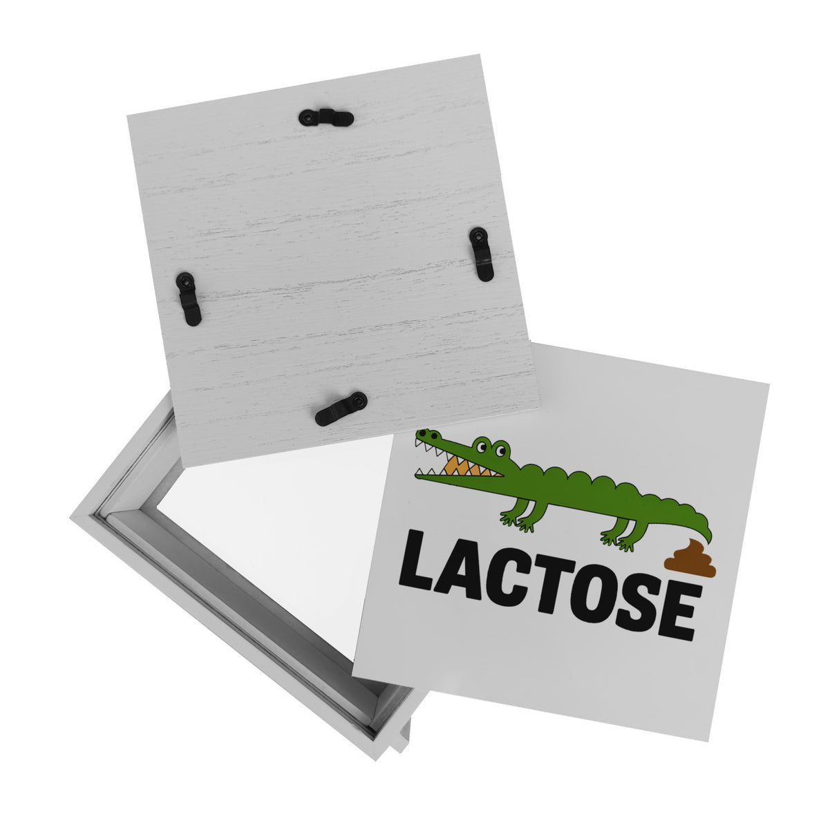 Alligator LACTOSE Spardose für Humorliebhaber
