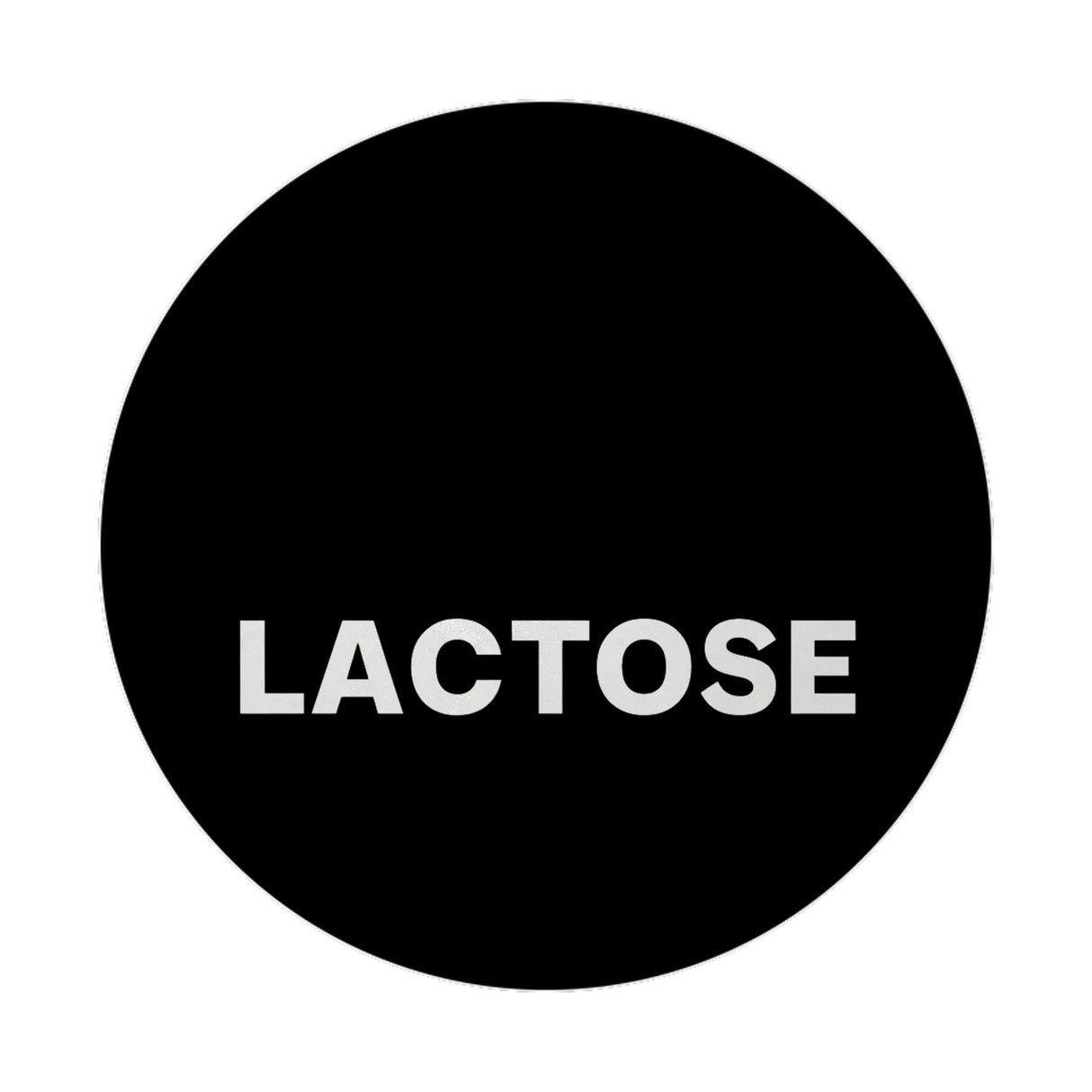 Lactose Alligator Magnet mit Witz