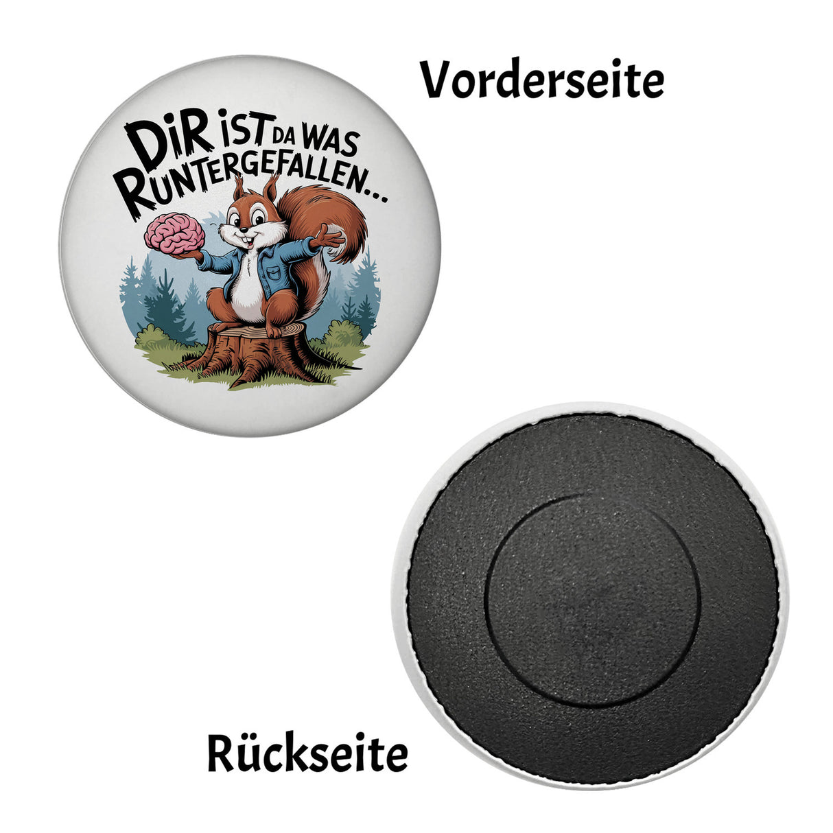 Dir ist was runtergefallen Magnet - Eichhörnchen hält Gehirn