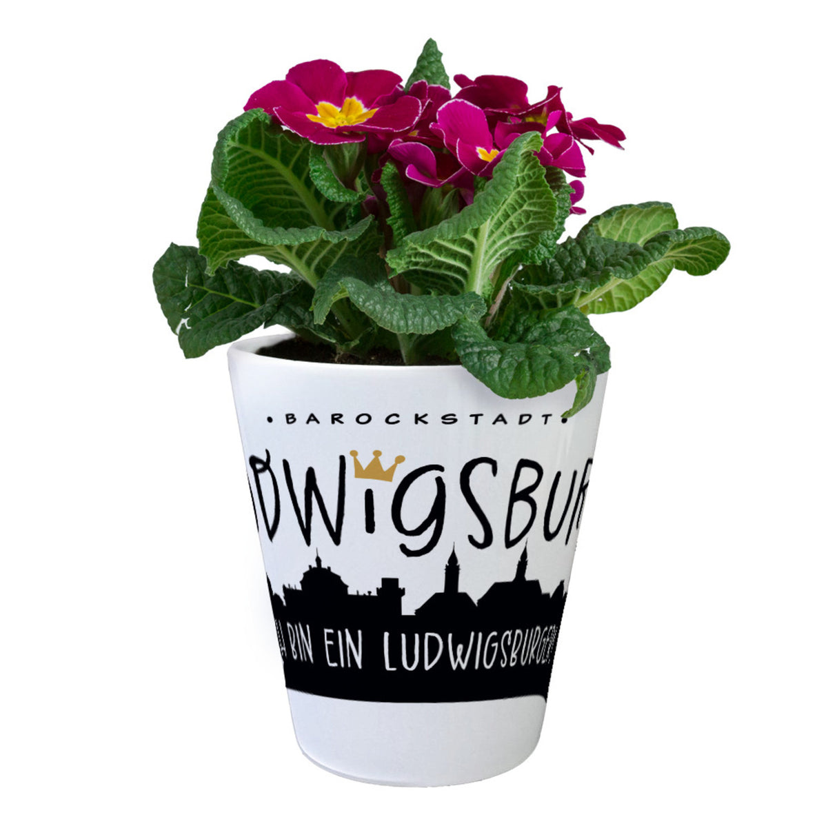 Ludwigsburg Skyline Blumentopf - Bin ein Ludwigsburger