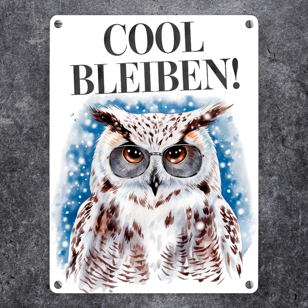 Schneeeule mit Sonnenbrille Cool bleiben Metallschild in 15x20 cm