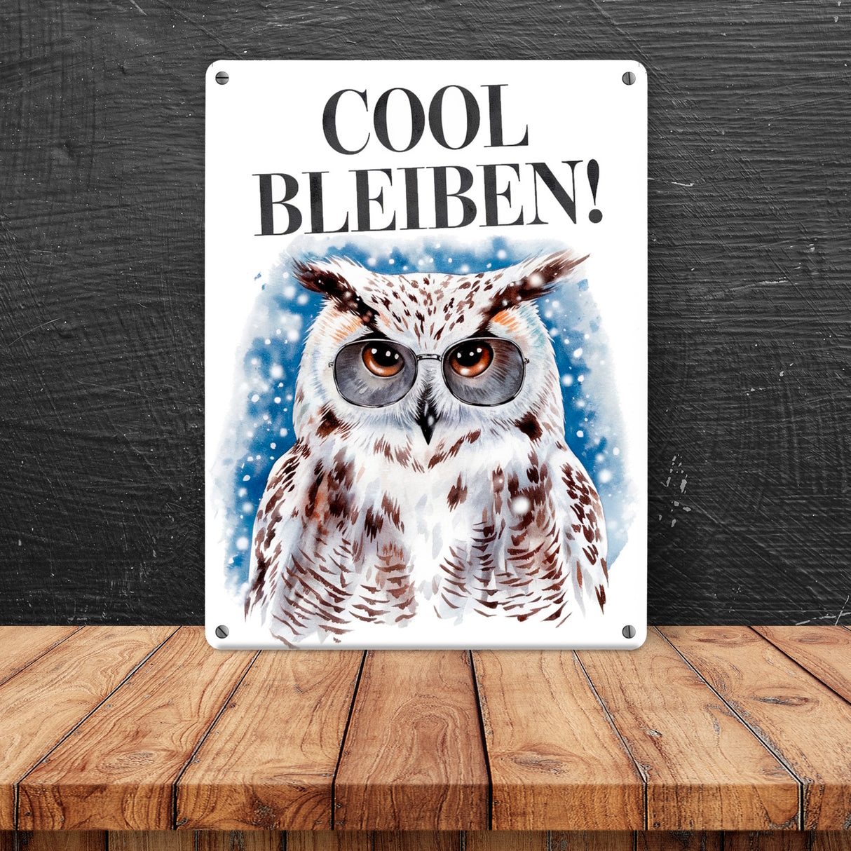 Schneeeule mit Sonnenbrille Cool bleiben Metallschild in 15x20 cm