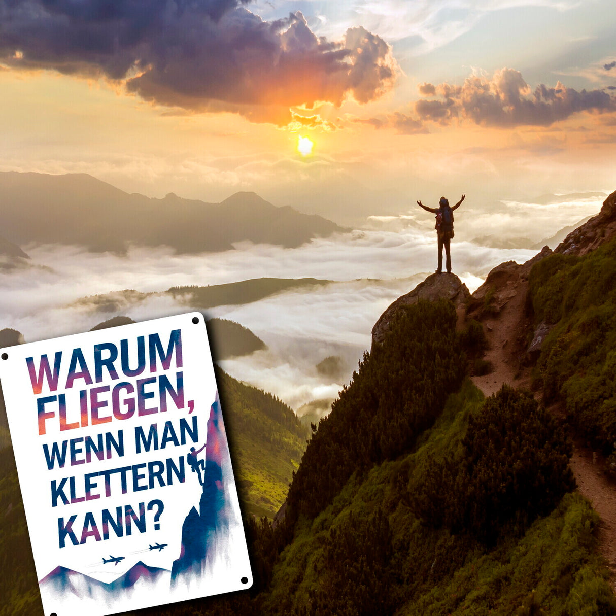 Warum fliegen, wenn man klettern kann Metallschild in 15x20 cm