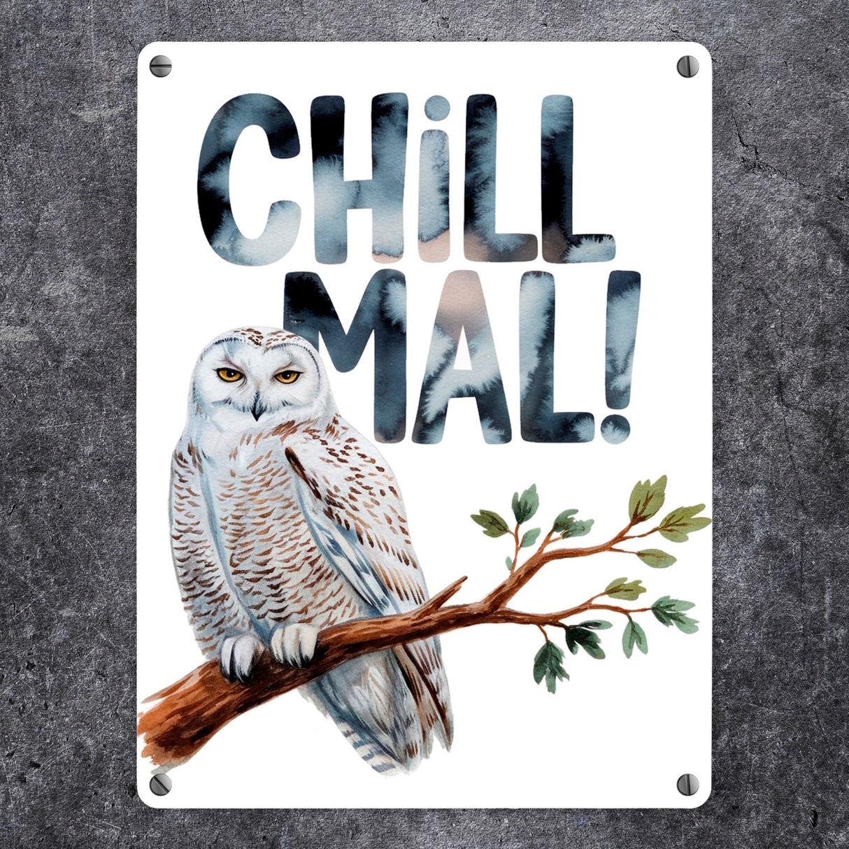 Entspannte Schneeeule Chill mal Metallschild in 15x20 cm