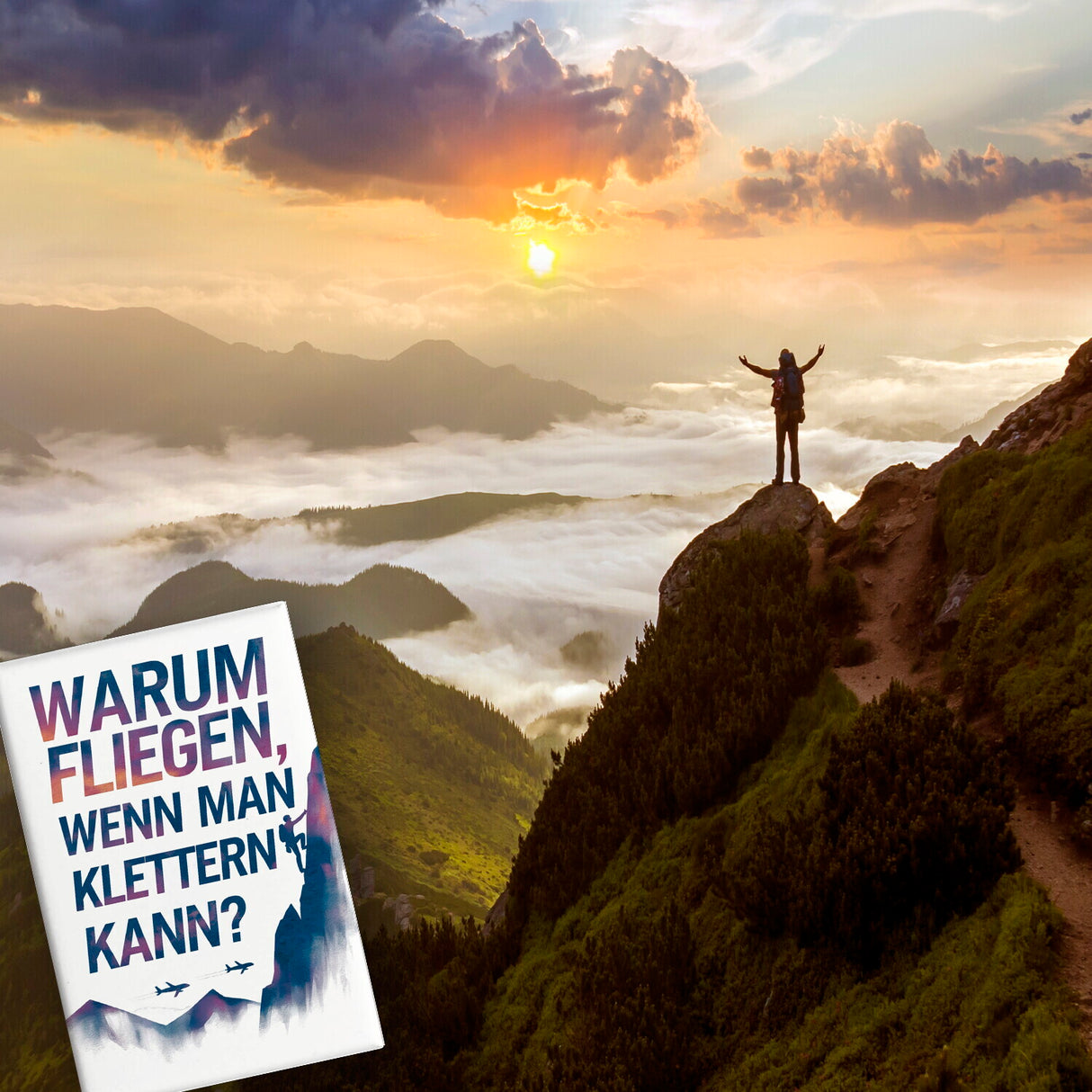 Warum fliegen, wenn man klettern kann Souvenir Souvenir Magnet
