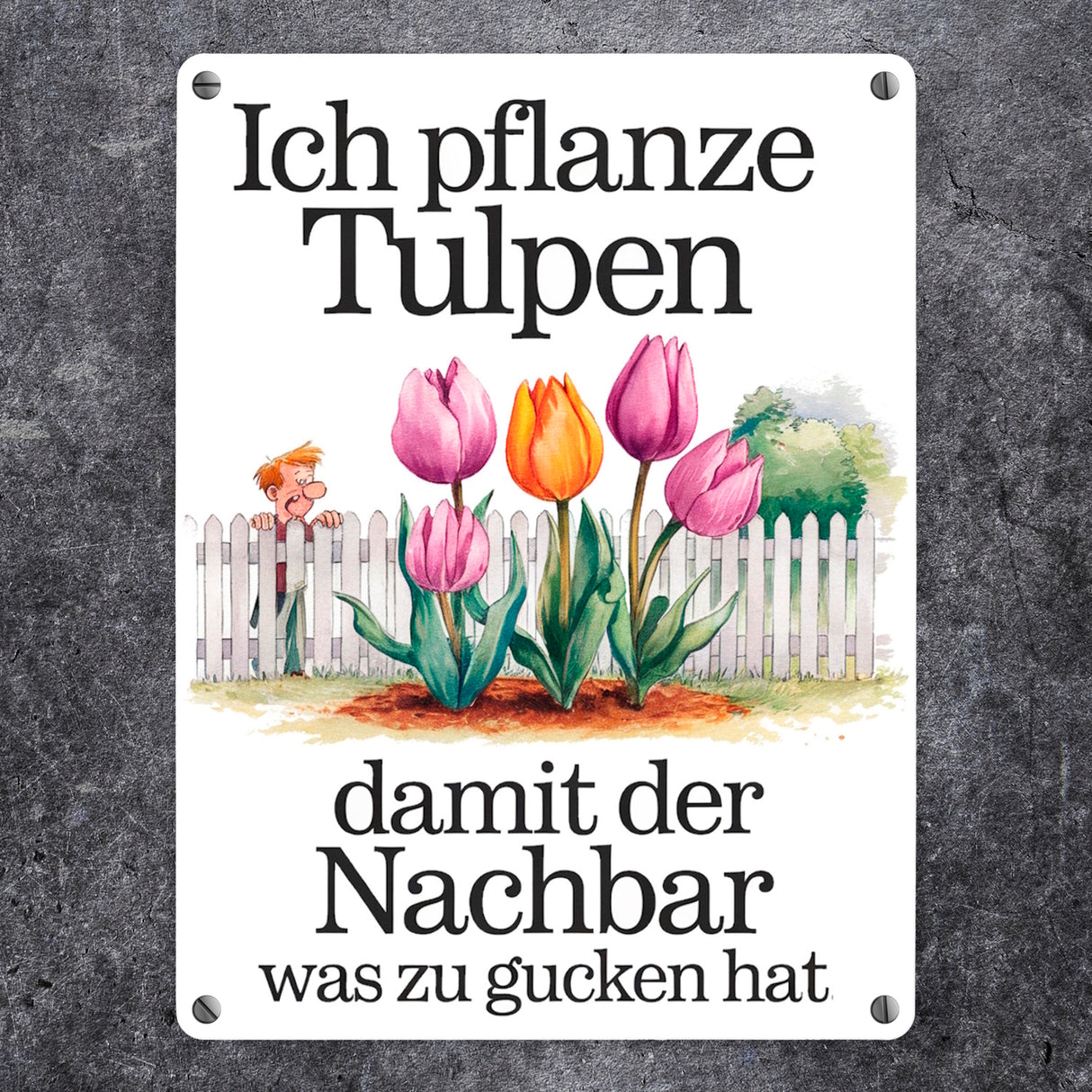 Tulpen für den Nachbarn Metallschild in 15x20 cm Nachbar am Zaun