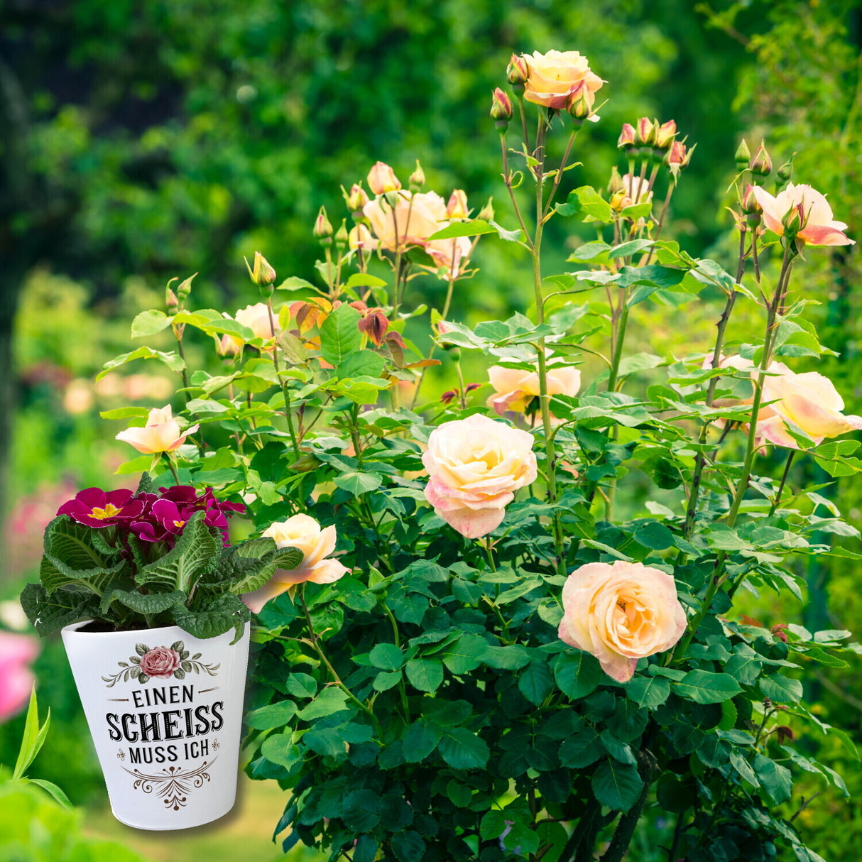 Einen scheiss muss ich Blumentopf Rose mit Blättern