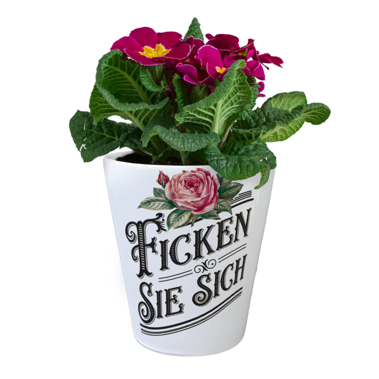 Ficken Sie Sich Blumentopf Rose Vintage