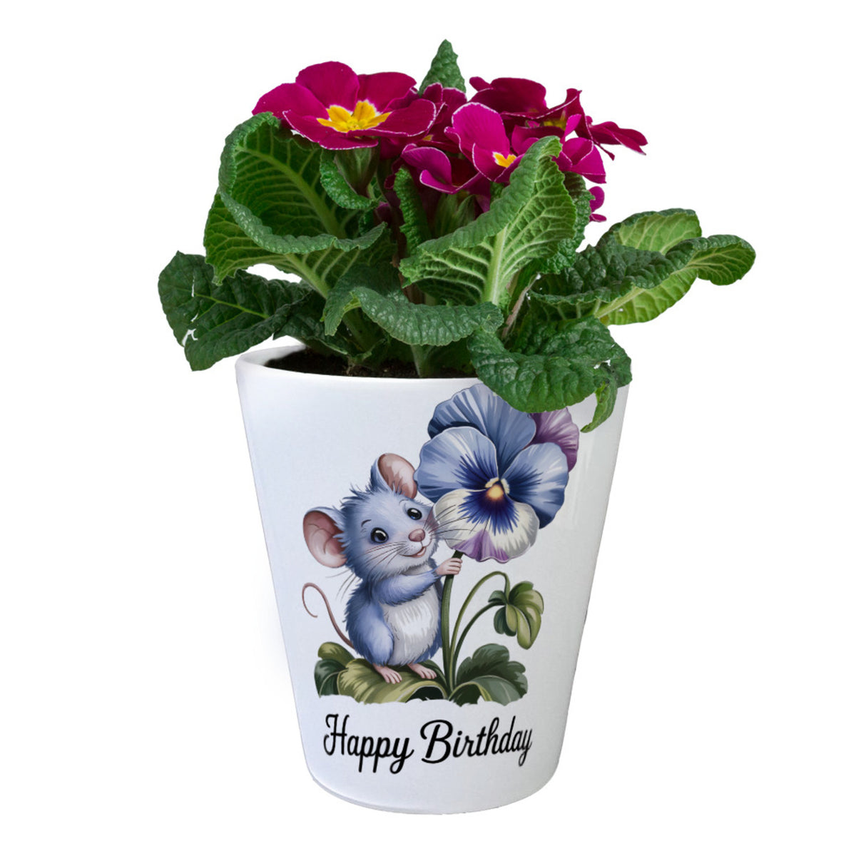 Maus mit Stiefmütterchen Blumentopf HAPPY BIRTHDAY