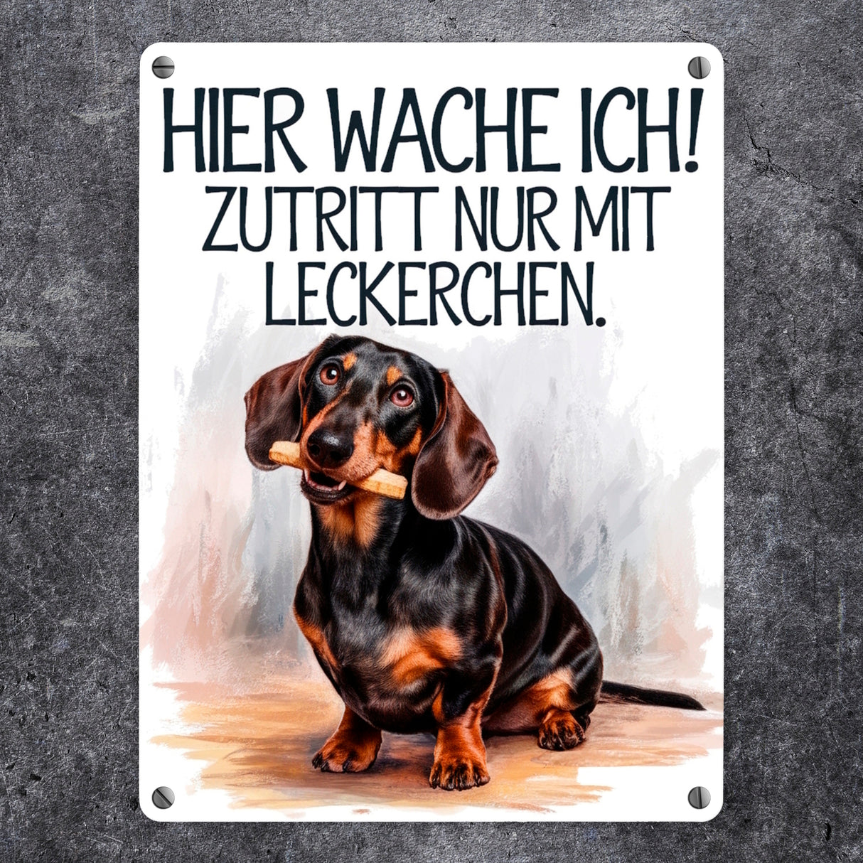 Zutritt nur mit Leckerchen Metallschild in 15x20 cm Dackel