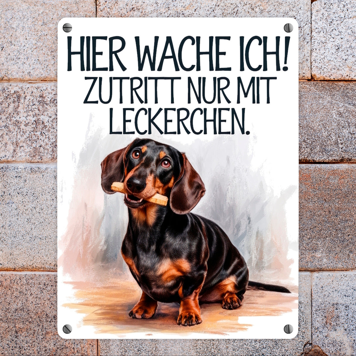 Zutritt nur mit Leckerchen Metallschild in 15x20 cm Dackel