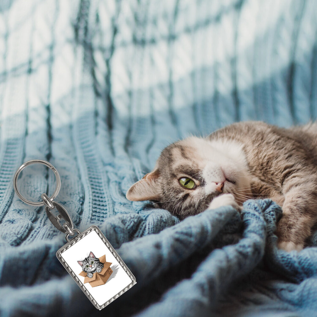 Katze im Karton Schlüsselanhänger für Katzenfans