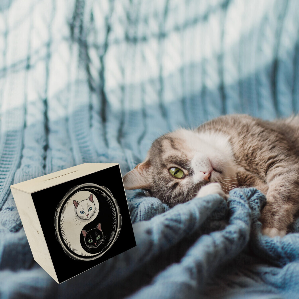 Katzen Yin und Yang Spardose für Katzenliebhaber