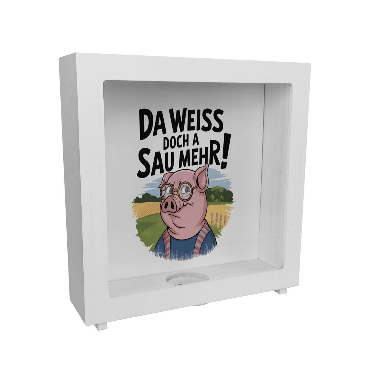 Cartoon Sau mit Brille Spardose A Sau weiß mehr